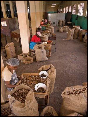 The Gouyave Nutmeg Station