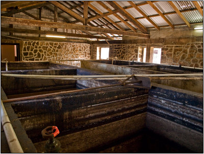 Fermentation Tanks