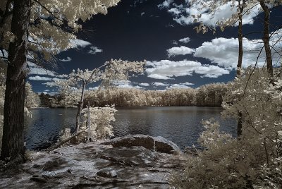 Parker State Forest