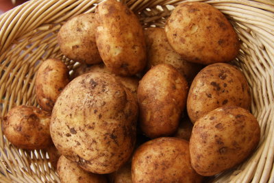 4 Brushed potatoes