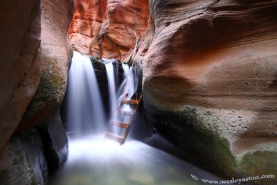 Kanarra Creek