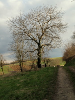 g1/48/614948/3/111249547.eZTGpAi4.jpg