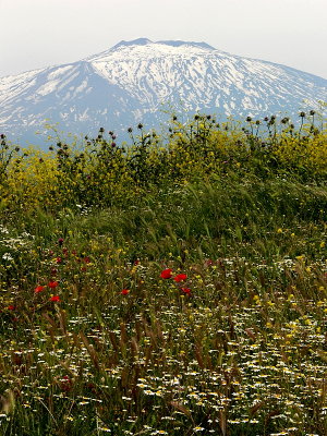 Sicily mountain  side