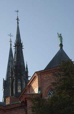 DSC_7468.jpg