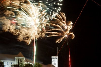 IMG_7921.jpg