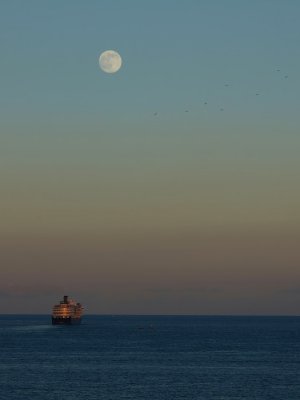 Westerdam and rising moon