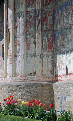 Humor Monastery