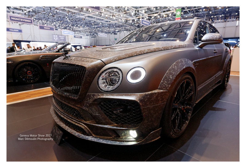 Geneva Motor Show 2017 - 38