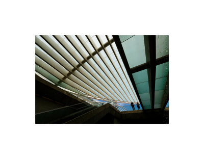 Urban 203