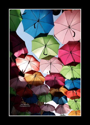Umbrella street