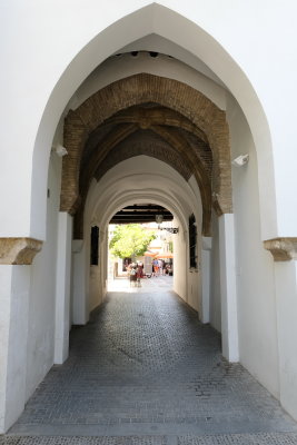 DSCF1569.jpg