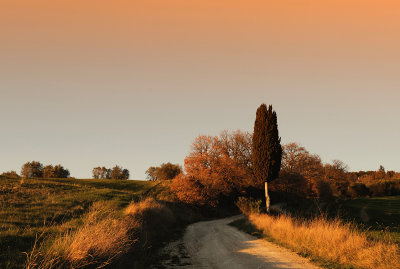 Tuscany ( March 2017 )