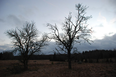 Forgotten