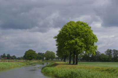 Watching the river flow