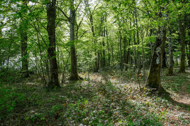 la fort de Menetru