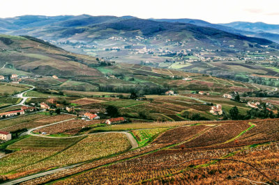 les monts du Beaujolais
