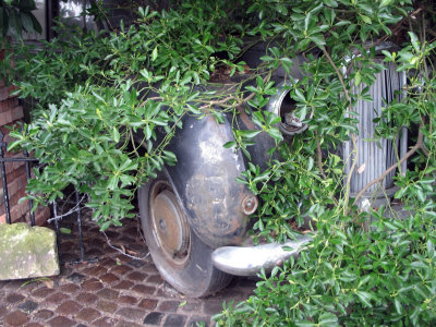 10th August. I cannot understand the people who leave cars in their garden for many many years.