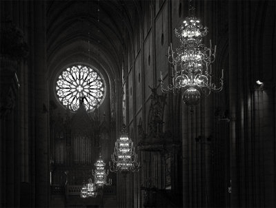 DSC_7495bw.jpg