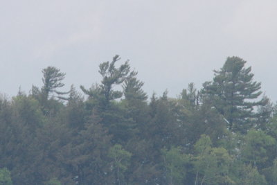 g12/95/921695/3/169363692.NmnkE25i.jpg