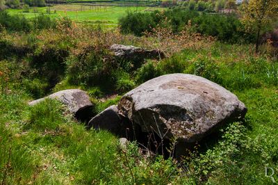  Paos de Ferreira, Sanfins Lamoso Codessos.
 
Monumento megaltico de cmara poligonal e corredor curto.

Proteo: Imvel de interesse pblico.

poca de construo: poca megaltica.

Cronologia: 3000 a.C. - Provvel construo.

( Isabel Sereno e Paulo Amaral [excertos], in http://www.monumentos.gov.pt/Site/APP_PagesUser/SIPA.aspx?id=5001 ) 