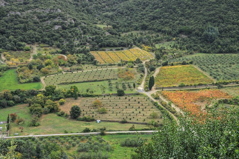 vue de Cabrespine