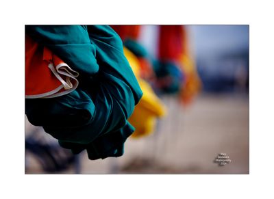 Beach Umbrellas in Deauville 22