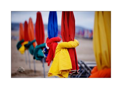 Beach Umbrellas in Deauville 28