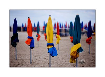 Beach Umbrellas in Deauville 39