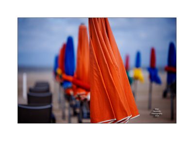 Beach Umbrellas in Deauville 45