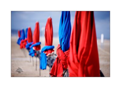 Beach Umbrellas in Deauville 49