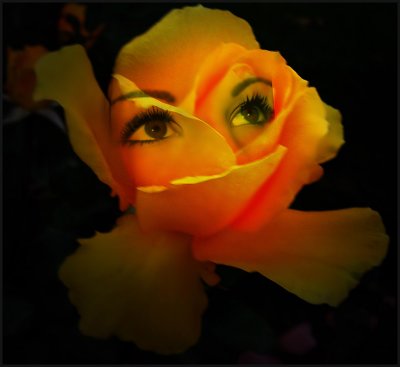 ...they only bloom at night