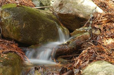 Water and Ice