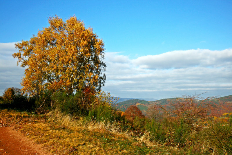 g3/48/614948/2/88470732.hjCRJKs9.jpg