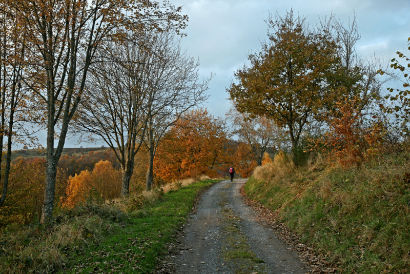 the man who walks fast...