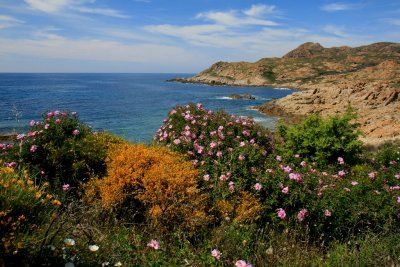 Corsica Cape.