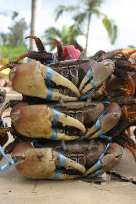 A bit crabby