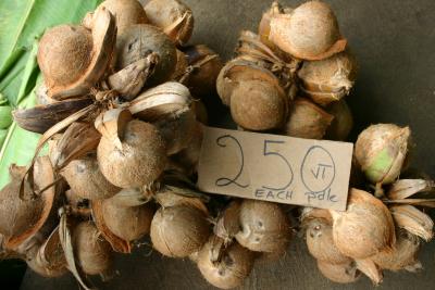 Vila produce