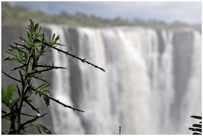 Vic Falls