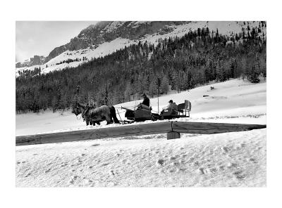 g3/97/383697/3/38893274.SLEDDING.jpg