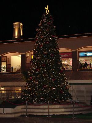 Christmas 2005