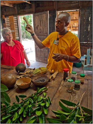Spices of Grenada