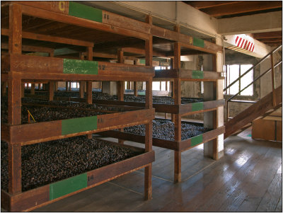Nutmeg Drying Bins