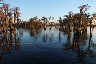 Banks Lake National Wildlife Preserve, Georgia landscape stock photo #6063