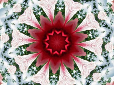 Pattern and Shapes January 2012