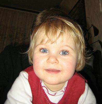 nol 2004