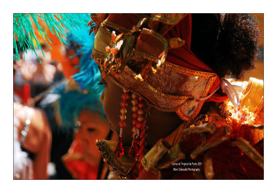 Paris Tropical Carnival 2011 - 9