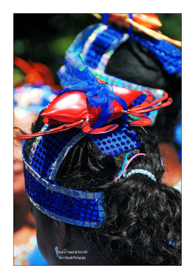 Paris Tropical Carnival 2011 - 34