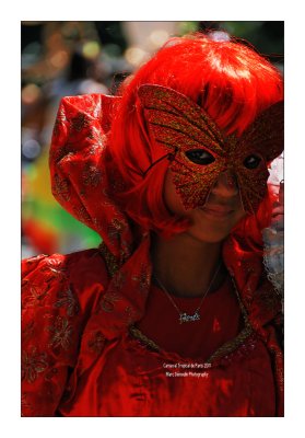 Paris Tropical Carnival 2011 - 42