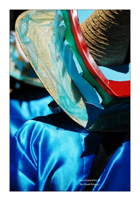 Paris Tropical Carnival 2011 - 72
