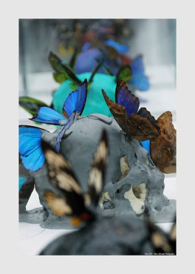 Art Paris 2011 - 22